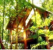 The Canopy Treehouses - Accommodation Nelson Bay