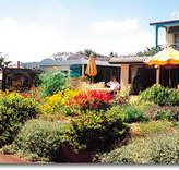 Best Western Applegum Inn Motel - Toowoomba - Nelsons Bay Accommodation