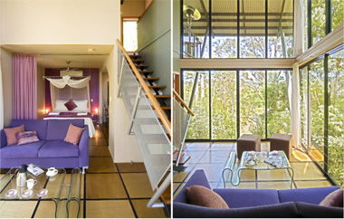 EcOasis - Accommodation Nelson Bay 1