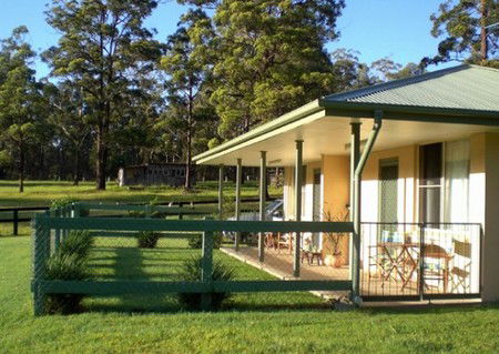 Neds Bed Horse O Tel - Accommodation Nelson Bay 1