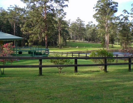 Neds Bed Horse O Tel - Accommodation Nelson Bay 2