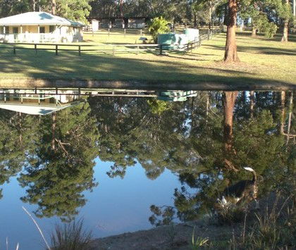 Neds Bed Horse O Tel - Accommodation Nelson Bay 4