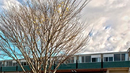 St Helens Bayside Inn - Accommodation Nelson Bay 1