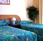 International Beach Resort - Accommodation Nelson Bay
