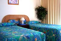 International Beach Resort - Accommodation Nelson Bay 0