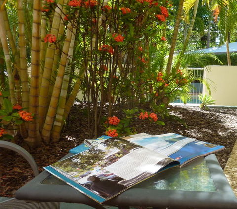 Kings Bay Apartments - Accommodation Nelson Bay 5