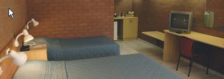 Pine Tree Motel - Accommodation Nelson Bay 0