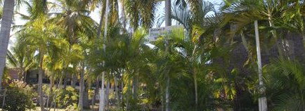 Pine Tree Motel - Accommodation Nelson Bay 2