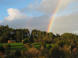 Lavender And Berry Farm - Accommodation Nelson Bay 3