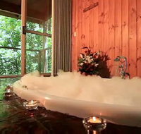 Tree Houses Of Montville - Accommodation Nelson Bay