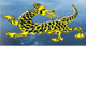 Dragon Phoenix Motel amp Restuarant - Accommodation Nelson Bay