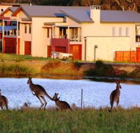 Grand Mercure The Vintage Hunter Valley - Accommodation Nelson Bay