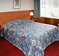 Mt Lyell Motor Inn - Accommodation Nelson Bay