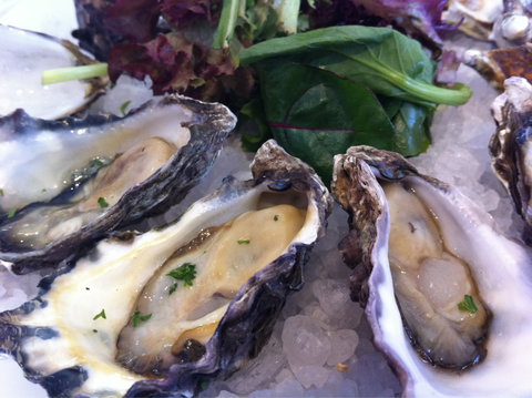 Duke Of Wellington Hotel - Accommodation Nelson Bay 0