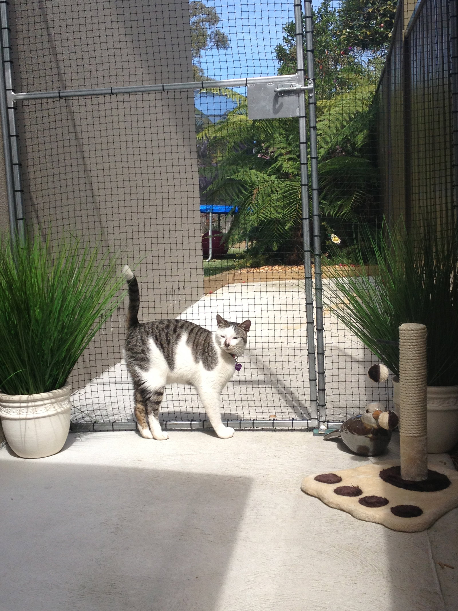 Caringbah South NSW Nelson Bay Accommodation.com