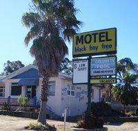 Blackboy Tree Motel - Accommodation Nelson Bay