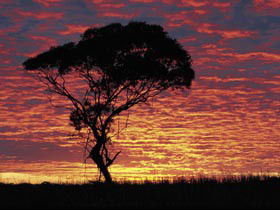 Kimba Caravan Park & Motel - Accommodation Nelson Bay 0