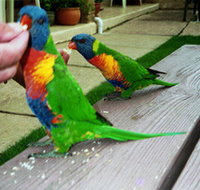 Inlet Views Holiday Lodge Motel - Accommodation Nelson Bay