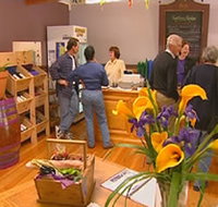 Settlers Ridge Organic Wines - Accommodation Nelson Bay