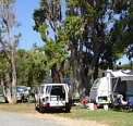 Elliston Caravan Park - Accommodation Nelson Bay