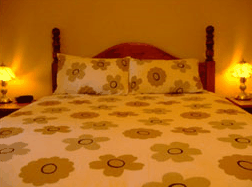 Travelway Motel - Accommodation Nelson Bay