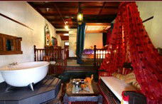 Casuarina Country Inn - Accommodation Nelson Bay 3