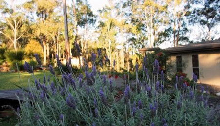 Wild Edge Retreat - Accommodation Nelson Bay 2