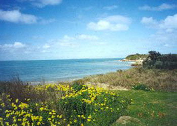 St Andrews Boulevard Apartments - Accommodation Nelson Bay 1