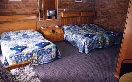 Border Motel - Accommodation Nelson Bay 0