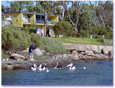 Almonta Holiday Apartments - Accommodation Nelson Bay 0