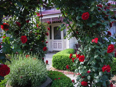 Bed And Breakfast At Stephanie's - Accommodation Nelson Bay 0