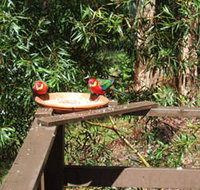 Tree Tops - Accommodation Nelson Bay