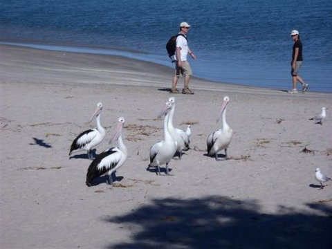 Kalbarri Accommodation Service - Accommodation Nelson Bay 5