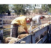 Old Nubba Schoolhouse - Accommodation Nelson Bay