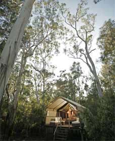 Paperbark Camp - Accommodation Nelson Bay 0