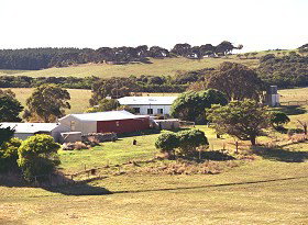 Sun Valley Eco Farm - Accommodation Nelson Bay 0