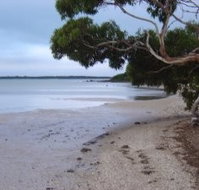 Stanley Lakeside Spa Cabins - Accommodation Nelson Bay