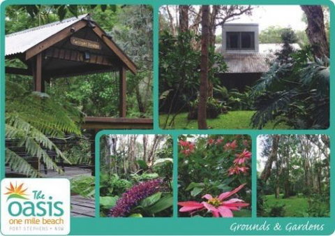 The Oasis At One Mile Beach - Accommodation Nelson Bay 0