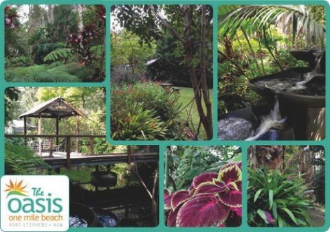 The Oasis At One Mile Beach - Accommodation Nelson Bay 2