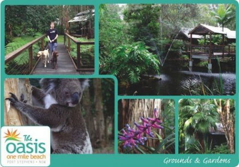 The Oasis At One Mile Beach - Accommodation Nelson Bay 3