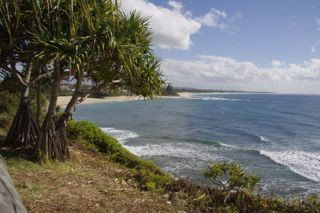 Moffat Beach Pet Friendly Holiday House - Accommodation Nelson Bay 9