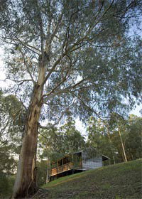 Noojee VIC Accommodation Nelson Bay