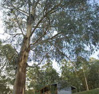 Outpost Restaurant - Accommodation Nelson Bay