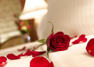 Springs Creek - Accommodation Nelson Bay 2