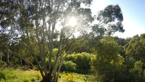 Springs Creek - Accommodation Nelson Bay 4