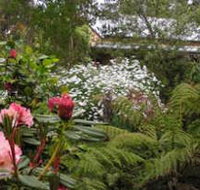 Lorne Lemonade Creek Cottages - Accommodation Nelson Bay