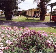 Brigadoon Holiday Units - Accommodation Nelson Bay