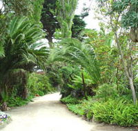 Seacove On The Beach - Accommodation Nelson Bay