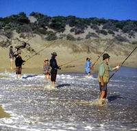 Flippers Beachouse - Accommodation Nelson Bay
