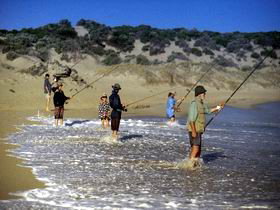 Flippers Beachouse - Accommodation Nelson Bay 0